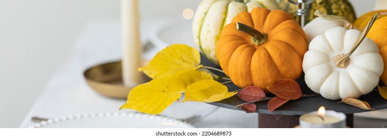 Idea For A Beautiful Autumn Setting For Thanksgiving Family Dinner Or Wedding. Orange Pumpkin As Decor. Cozy Fall Home Atmosphere. Banner Copy Space For Text