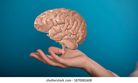 idea brain network neurogen digital iq - Shutterstock ID 1870082608