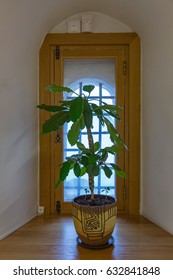 The idea of the decoration of interior internal window