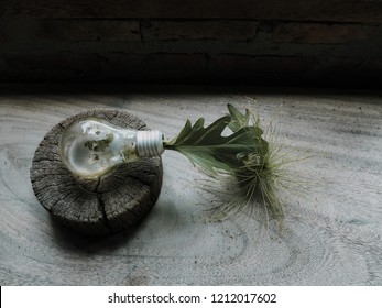 Idea saving concept.Decorating bulbs with trees place it on a wooden table