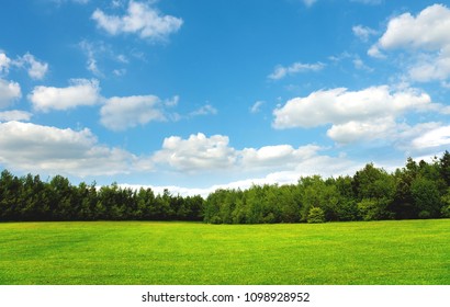 Ideal grünes Feld und Himmel. Großartig als Hintergrund.
