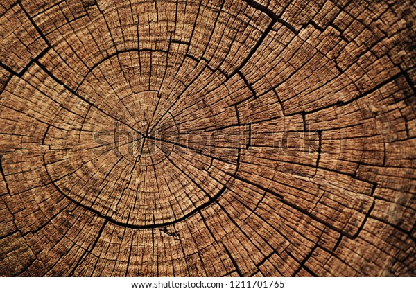 Ideal round cut down tree with annual rings and\
cracks. Wooden texture.