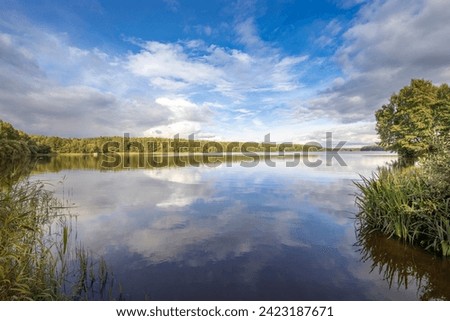 An idealistic landscape with a pond reflecting clouds.