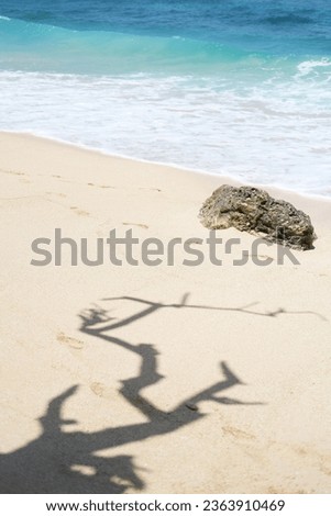 Idealistic white sand and blue ocean. A shadow from an unusually shaped tree.