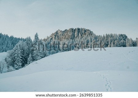 An idealistic winter scene featuring a small hillside covered in evergreen trees blanketed in a layer of glimmering snow