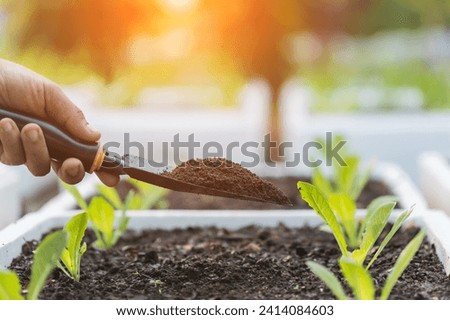 Ideas for using organic fertilizers for plants. Farmer's hands hold vermicompost and add fertilizer to the vegetables in the field. Using organic ingredients to ensure safety for consumers.