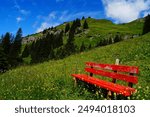 Idilayl alpine landscape: a red bench for a relax among the alpine meadow with flowers, against the background of mountains with pines.