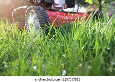 Idle lawnmower letting grass grow, concept of preservation and creating habitat for pollinators such as insects and bees, focus on wheel - Shutterstock ID 2157357813