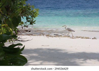 Idyllic