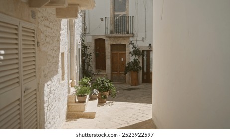 Idyllic alley in locorotondo, puglia, italy, featuring charming stonework, potted plants, an arched doorway, and wooden shutters on a sunny day. - Powered by Shutterstock