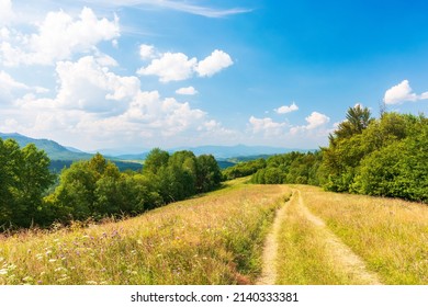 Idyllic Alpine Landscape With Green Meadows And Trees. Panoramic View Of Beautiful Wonderland Scenery In Summer. Country Road Through Grassy Field On Sunny Day. Sky With Fluffy Clouds In Evening Light