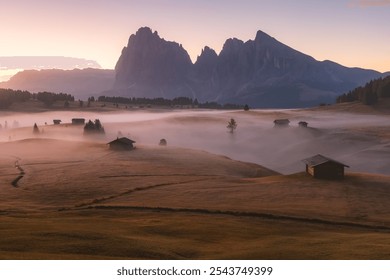 Idyllic alpine meadow during a moody, atmospheric and misty sunrise in Alpe di Siusi with rustic huts and landscape views of the Dolomite mountains in South Tyrol, Italy. - Powered by Shutterstock