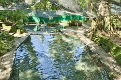 The Idyllic Ardent Hot Springs In Camiguin, Philippines, Surrounded By Rainforest.