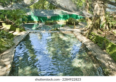 The idyllic Ardent Hot Springs in Camiguin, Philippines, surrounded by rainforest. - Powered by Shutterstock