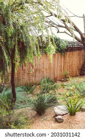 Idyllic Backyard With Australian Native Plants And Trees With Cosy Vibes