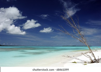 Idyllic Beach In New Caledonia