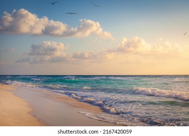 Idyllic beach with waves and sea birds flying in Cancun, Riviera Maya - Mexico