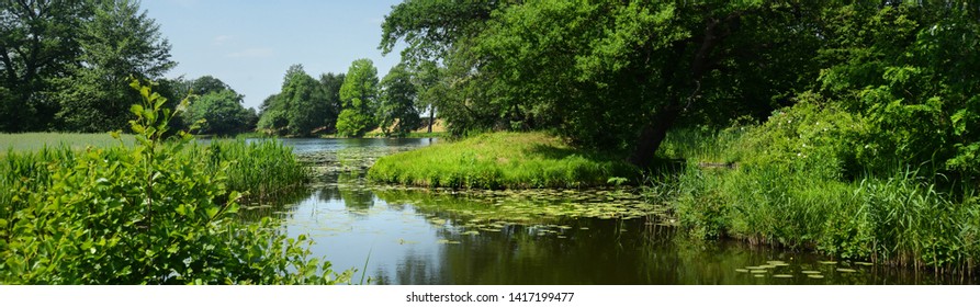 Idyllic Biotope In A Park 