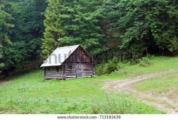 Idyllic Cabin Middle Nowhere Stock Photo Edit Now 713183638