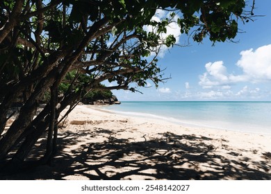 Idyllic Caribbean beaches with turquoise waters, lush greenery, and pristine sandy shores under a clear blue sky. A serene paradise for nature lovers and relaxation seekers. - Powered by Shutterstock