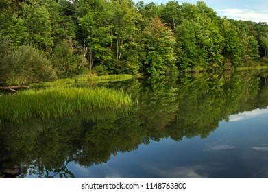 Idyllic Cove At Lackawanna State Park During Spring In Pennsylvania