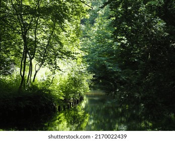 Idyllic Creek In Tiergarten Park In Berlin Germany Greenery And Trees During Spring Summer River Water Nature Brook Stream