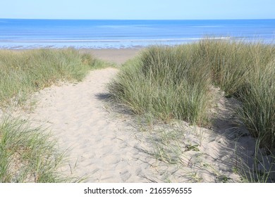 Idyllic Dunes Of Pirou In La Manche, Normandy, France