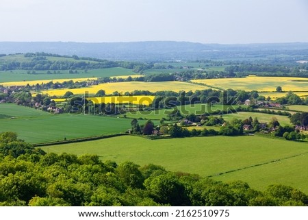 Idyllic english rural landscape with grazing sheep and yellow rapeseed fields as viewed from South Downs hill in Sussex, Southern England, UK