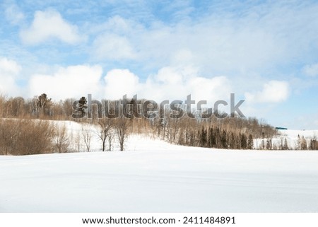 Idyllic farmland scenery with trees and field covered in fresh snow seen during an sunny winter morning, St. Augustin de Desmaures, Quebec, Canada