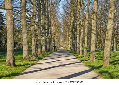 idyllic footpath through an avenue in the French garden (German: Französischer Garten) in Celle, Germany