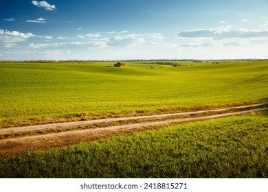 Idyllic green wavy field and blue sky with clouds background. Location place agrarian region of Ukraine, Europe. Concept of agrarian industry in spring time. Photo wallpaper. Beauty of earth.