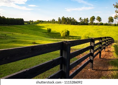Idyllic horse ranch in Macon, Georgia.