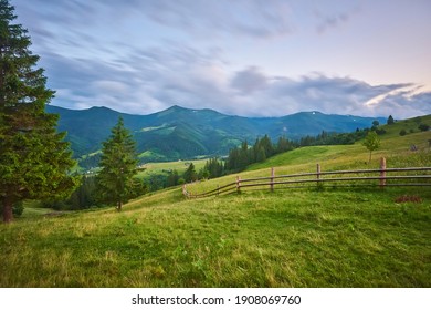 Idyllic landscape in the Alps with fresh green meadows and blooming flowers and snow-capped mountain tops in the background