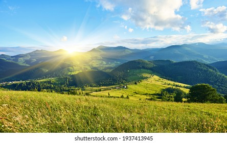 Idyllic landscape in the Alps and fresh green meadows   blooming flowers   snow  capped mountain tops in the background