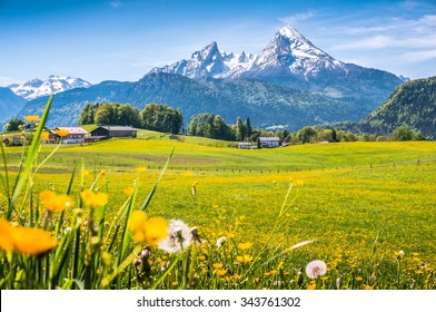 Idyllic landscape in the Alps with fresh green meadows, blooming flowers, typical farmhouses and snowcapped mountain tops in the background, Nationalpark Berchtesgadener Land, Bavaria, Germany