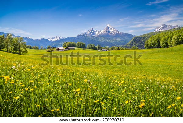 Idyllic Landscape Alps Fresh Green Meadows Stock Photo Edit Now 278970710