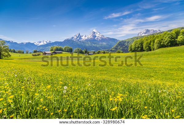 Idyllic Landscape Alps Fresh Green Meadows Stock Photo Edit Now 328980674