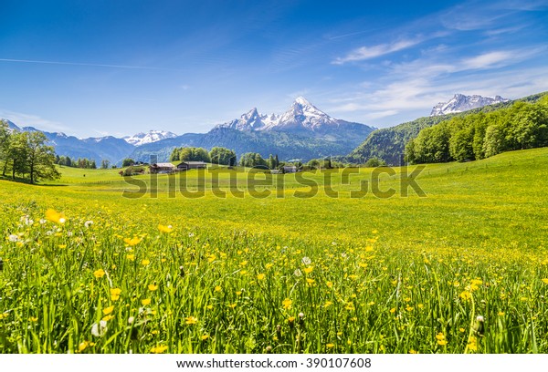 Idyllic Landscape Alps Fresh Green Meadows Stock Photo Edit Now 390107608