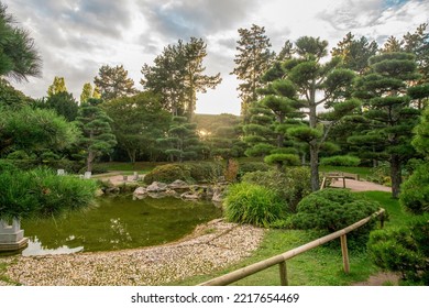 Idyllic landscape in Dusseldorf  in the japanese garden - topiary pine trees, grass and pond with KOI carps - Shutterstock ID 2217654469