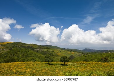 Idyllic Landscape - National Park Mount Amiata Tuscany-Italy