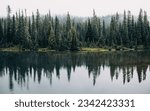 An idyllic landscape of pine trees reflected in a beautiful lake
