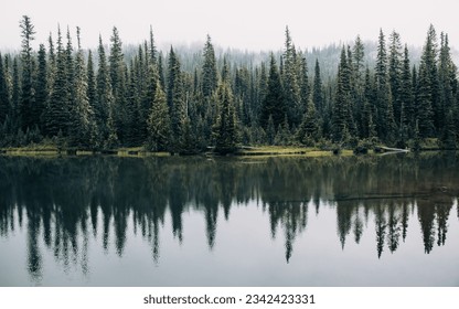 An idyllic landscape of pine trees reflected in a beautiful lake - Powered by Shutterstock