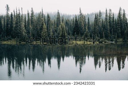 An idyllic landscape of pine trees reflected in a beautiful lake