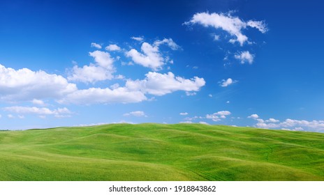 20,293,284 Pasto verde Images, Stock Photos & Vectors | Shutterstock