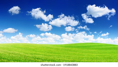 Idyllic Landscape, Rolling Green Fields, Blue Sky And White Clouds In The Background