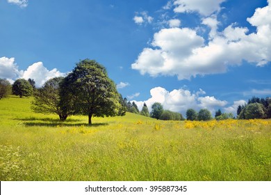 Idyllic Late Spring, Early Summer Landscape (in France)