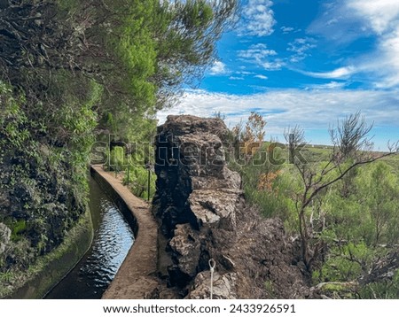 Idyllic Levada walk in ancient subtropical Laurissilva forest of Rabacal, Madeira island, Portugal, Europe. Water irrigation channel next to footpath of evergreen laurel trees along 25 fountains hike