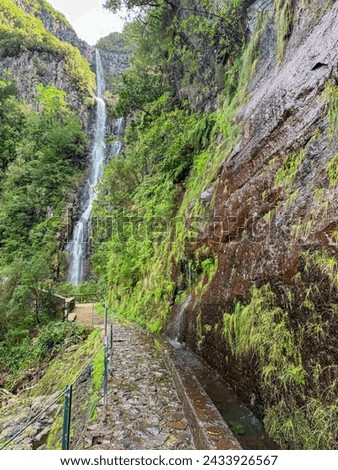 Idyllic Levada walk with scenic view of majestic waterfall Cascata Risco along idyllic Levada walk 25 fountains in evergreen subtropical Laurissilva forest of Rabacal, Madeira island, Portugal, Europe