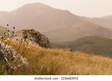 Idyllic mountain landscape in sunny day in golden sunlight of summer with silhouette of ridges, rocks on horizon and yellow dry grass meadow with flowers and fluffy spikelets in valley.