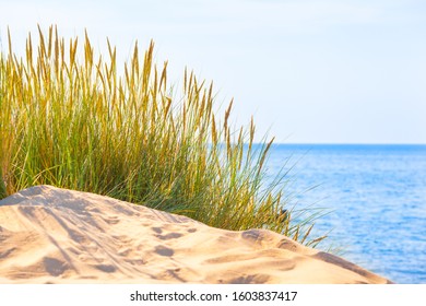 Idyllic Nature On Sunny Day At White Sandy Beach With Dune Grass And Blue Sea (copy Space)